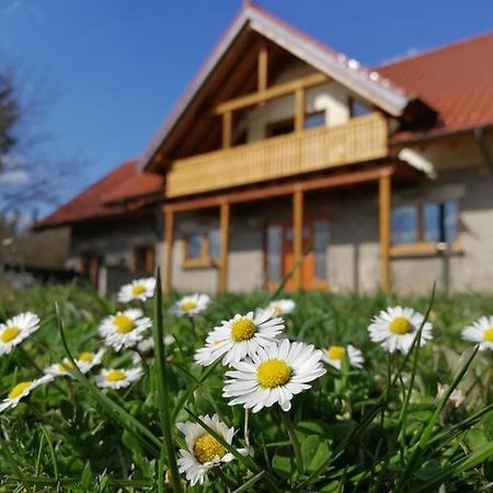 Wandertraum Johann - Fewo Eifel Kruft Zewnętrze zdjęcie