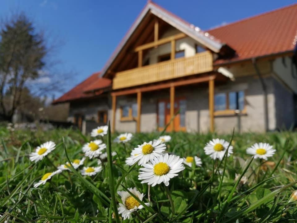 Wandertraum Johann - Fewo Eifel Kruft Zewnętrze zdjęcie