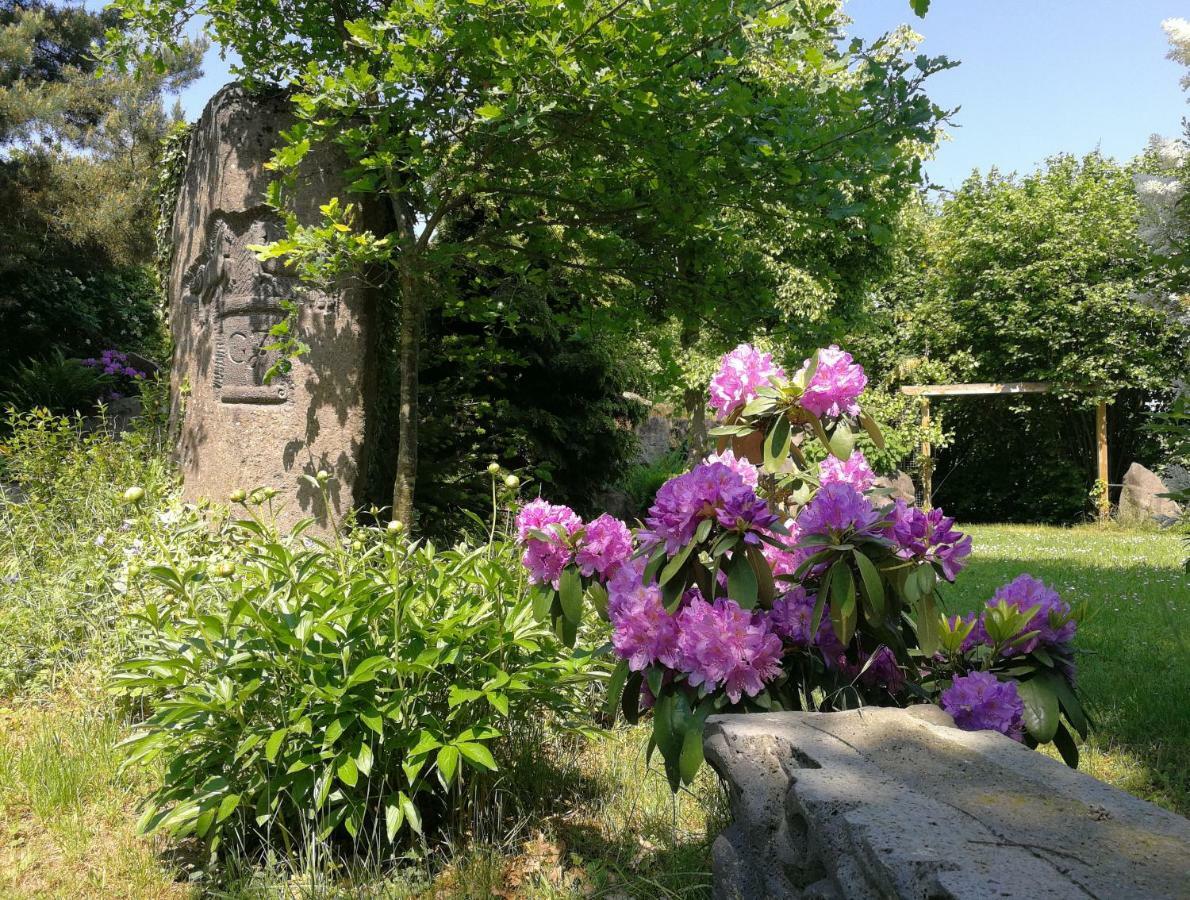 Wandertraum Johann - Fewo Eifel Kruft Zewnętrze zdjęcie